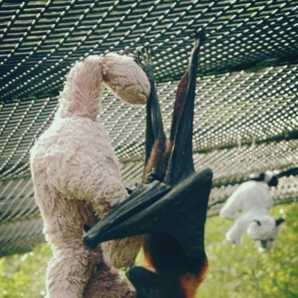 Meet your Posher, Sindy